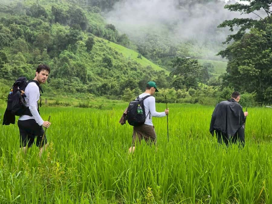 Chiang Mai: 1-Day Trekking Experience to Village & Waterfall - Value for $61: What You’re Actually Paying For