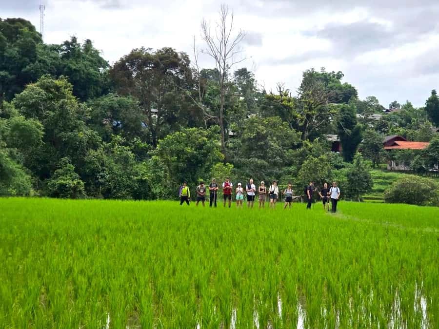 Chiang Mai: 1-Day Trekking Experience to Village & Waterfall - Comfort Tips That Will Make This Trek Feel Easier