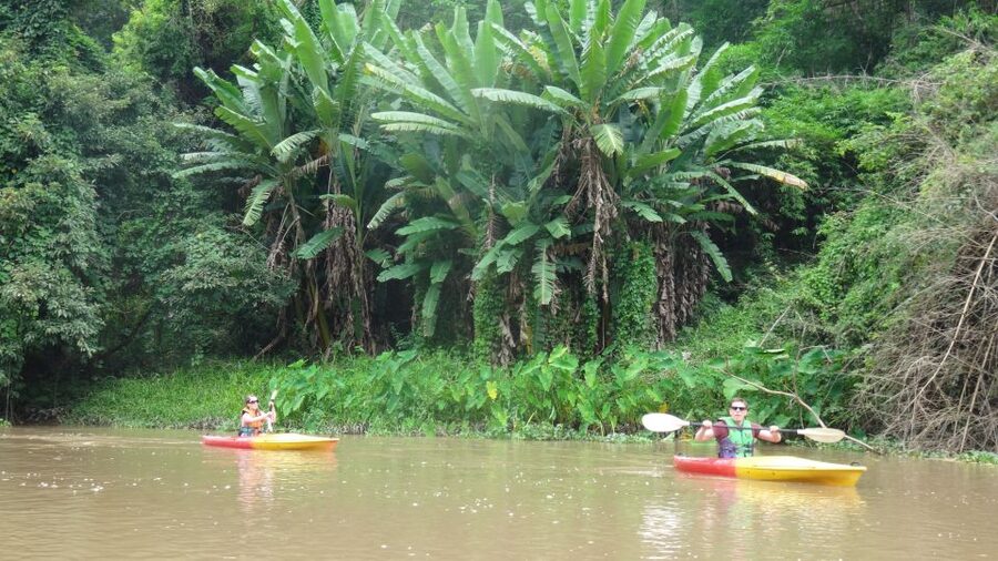 Chiang Mai: 15 km Leisure River Kayaking at Mae Ngat forest - Key things I’d circle before you go