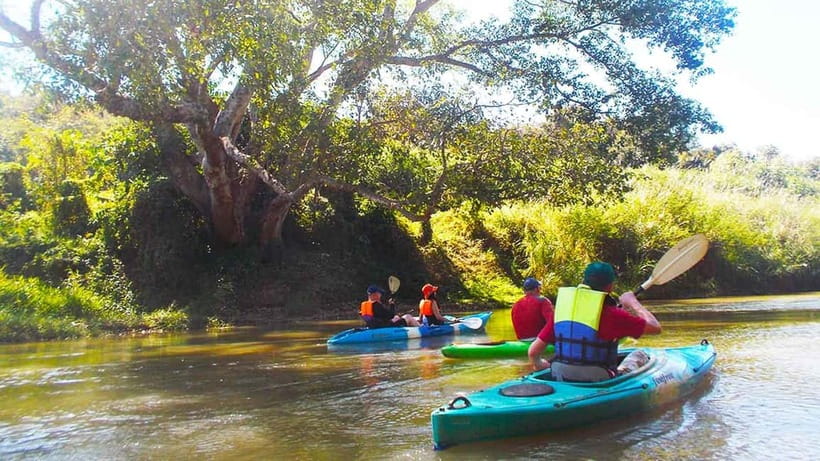 Chiang Mai: 15 km Leisure River Kayaking at Mae Ngat forest - Lunch by the river: refuel without killing the mood