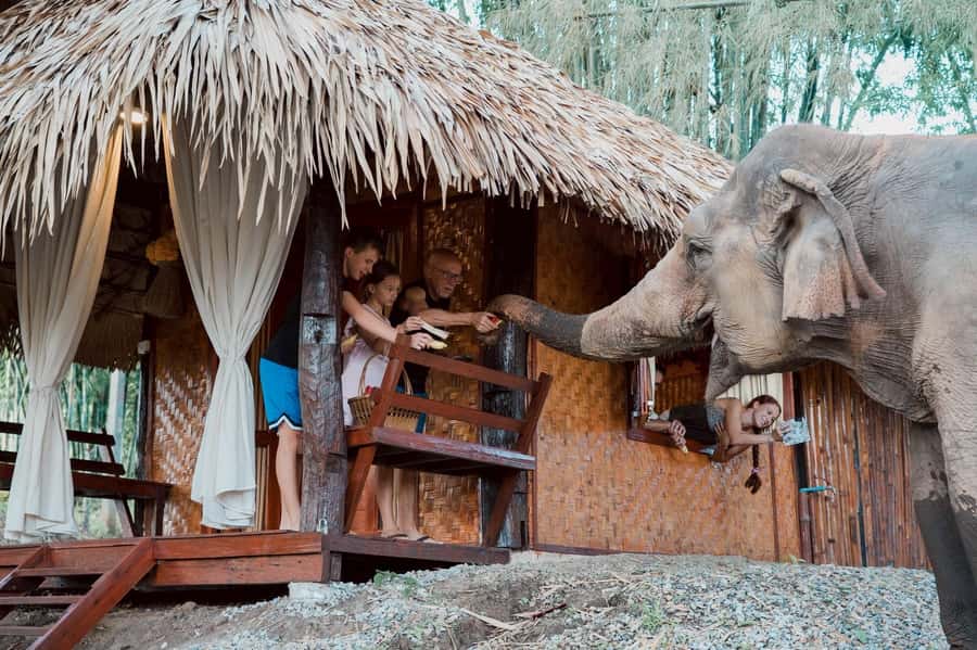 Chiang Mai 2-Day: Good Morning Elephant & Overnight Homestay - Key Things I’d Tell You Before You Go
