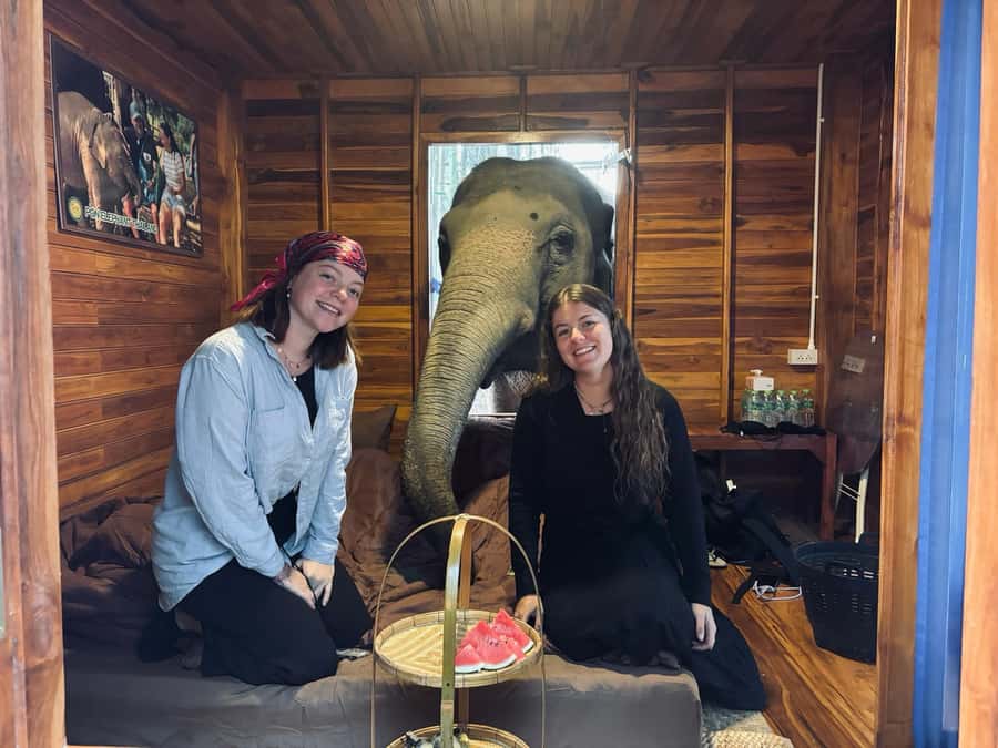 Chiang Mai 2-Day: Good Morning Elephant & Overnight Homestay - Mae Wang Waterfall Swim, Then Bamboo Rafting for the Final High