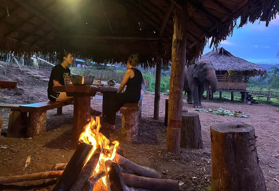 Chiang Mai 2-Day: Good Morning Elephant & Overnight Homestay - Price and Logistics, Is $128 Good Value?