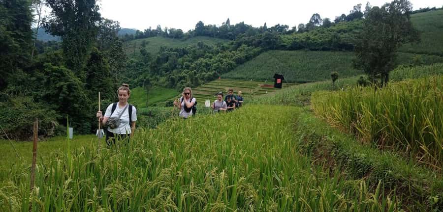 Chiang Mai: 2-Day Jungle Trek with Elephant Farm & Raft Ride - Key things to know before you go