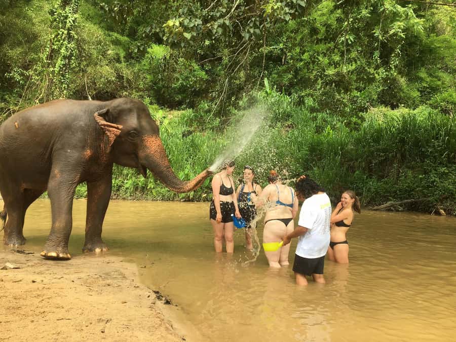 Chiang Mai: 2-Day Jungle Trek with Elephant Farm & Raft Ride - Market morning, then bamboo rafting on Mae Wang River