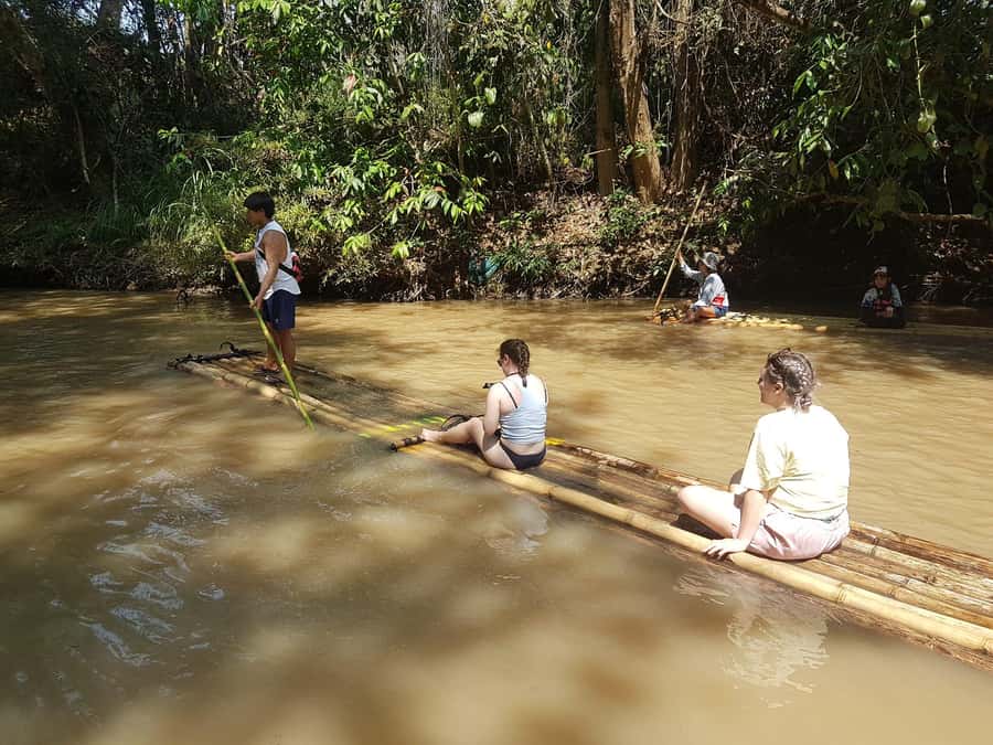 Chiang Mai: 2-Day Jungle Trek with Elephant Farm & Raft Ride - What you will feel on the trail: fitness, weather, and pacing