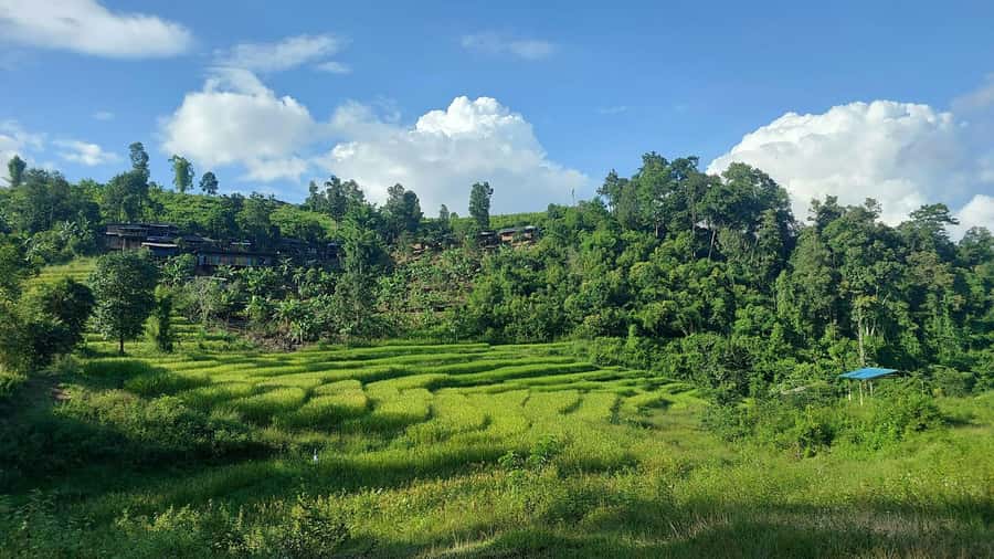 Chiang Mai: 2-Day Reforestation Adventure with Rafting - Jungle hike to the waterfall pools: what to expect on your feet