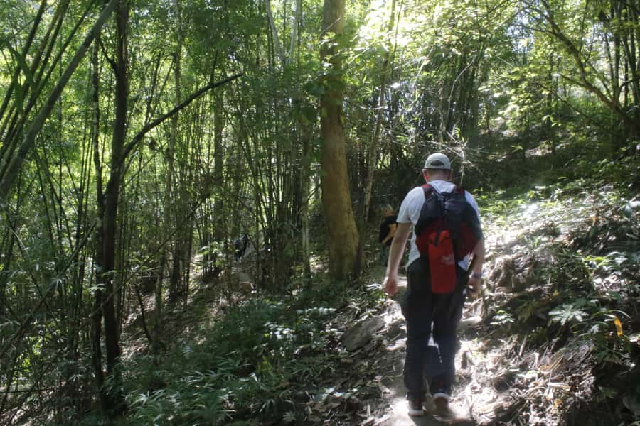 Chiang Mai: 2-Day Reforestation Adventure with Rafting - Reforestation work: the tree-planting piece that gives the trip meaning