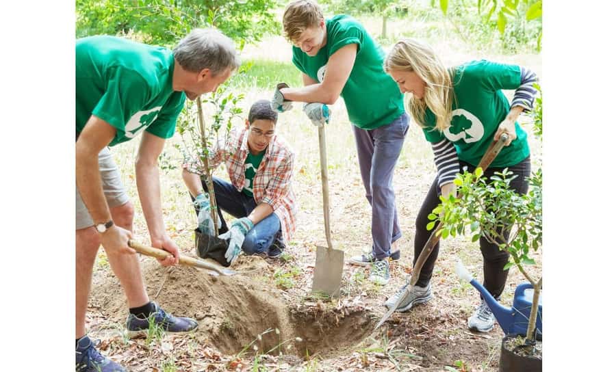 Chiang Mai: 2-Day Reforestation Adventure with Rafting - Cooking, fire-making, and marshmallows at night