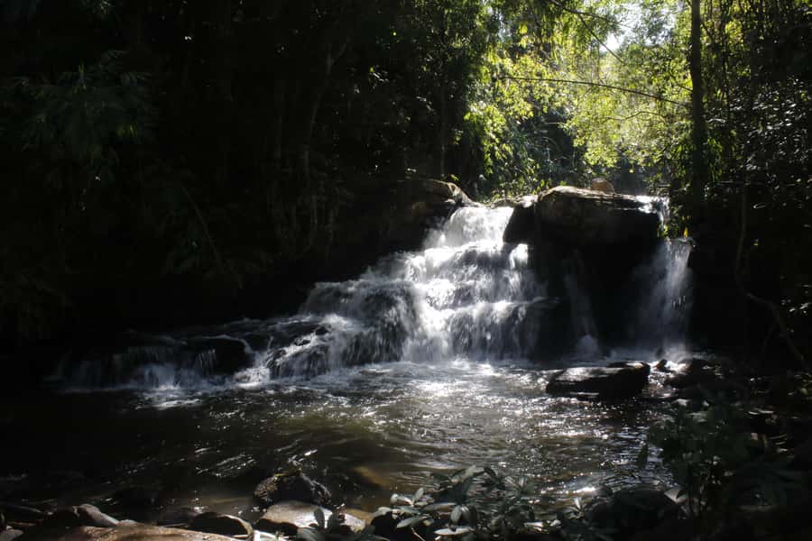 Chiang Mai: 2-Day Reforestation Adventure with Rafting - Market stop and the cooking class: dinner becomes part of the tour