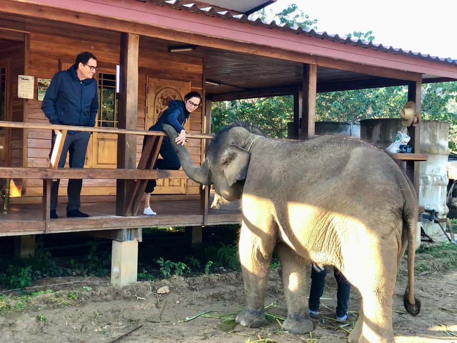 Chiang Mai: 2-Day Tour with Rafting, Elephants, and Waterfall - Lunch, Breaks, and the Practical Reality of a Full Outdoor Day