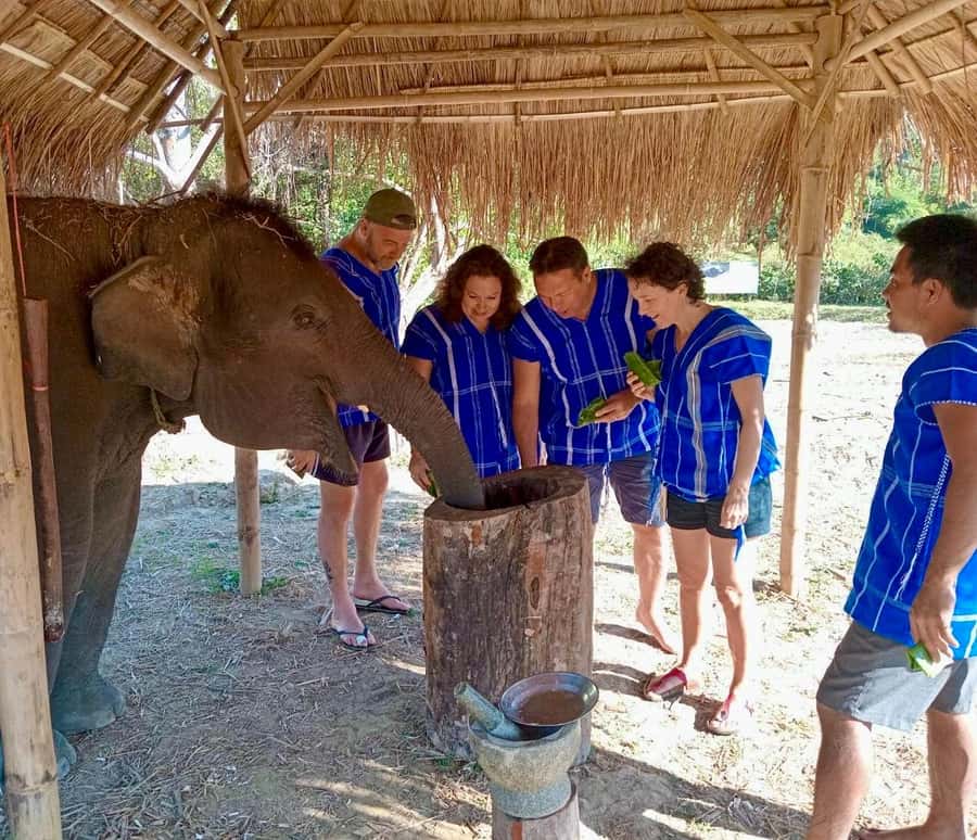 Chiang Mai: 2-Day Tour with Rafting, Elephants, and Waterfall - Breakfast With Views, Then Karen Village Time