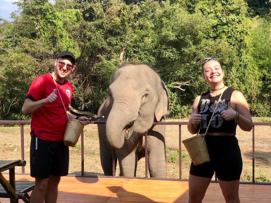 Chiang Mai: 2-Day Tour with Rafting, Elephants, and Waterfall - Elephant Sanctuary Care: Feeding, Mud-Play, and River Bathing