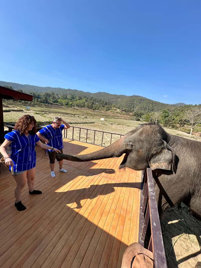 Chiang Mai: 2-Day Tour with Rafting, Elephants, and Waterfall - Second Day Trek: More Waterfalls and Elephant Bathing Rhythm