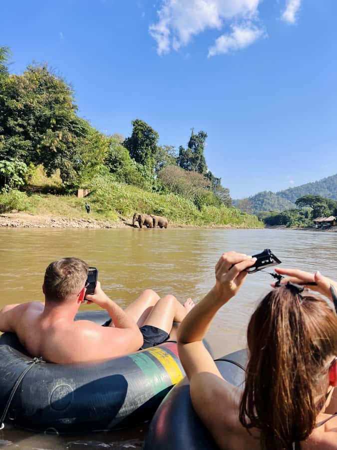 Chiang Mai 2-Day: Trekking, Tubing & Elephant Observation - Key Highlights You’ll Actually Notice