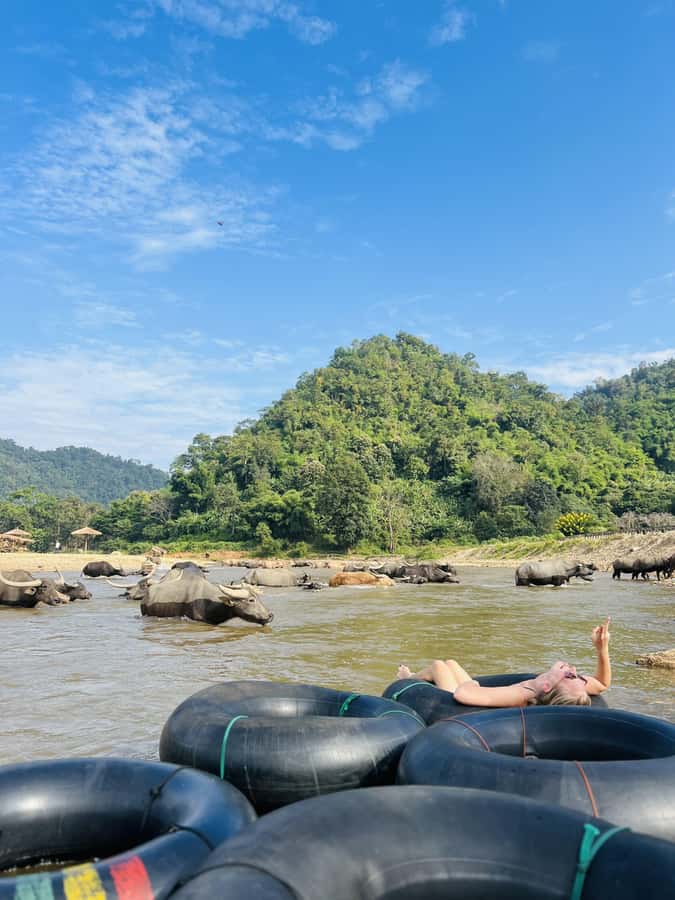 Chiang Mai 2-Day: Trekking, Tubing & Elephant Observation - Price and Value Around $102: What You’re Actually Getting