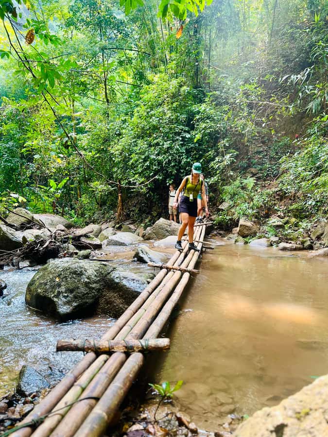 Chiang Mai 2-Day: Trekking, Tubing & Elephant Observation - Lunch at Base Camp, Then Tubes and Tunes on the Mae Taeng River