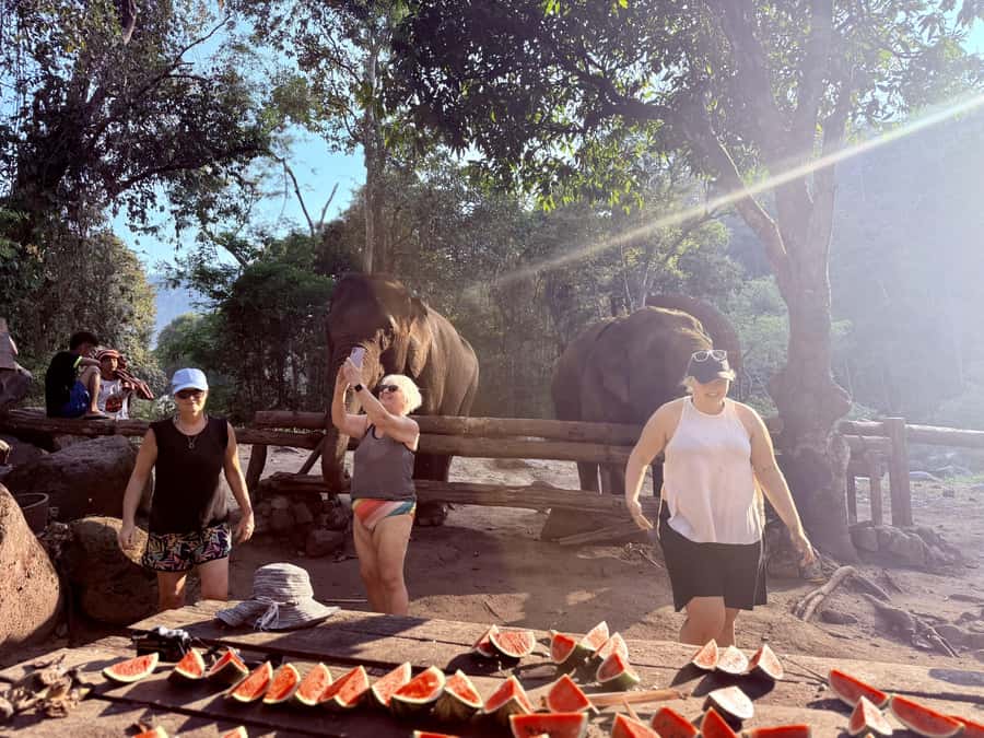 Chiang Mai 2-Day: Trekking, Tubing & Elephant Observation - Optional Extras Around Mae Taeng After Breakfast