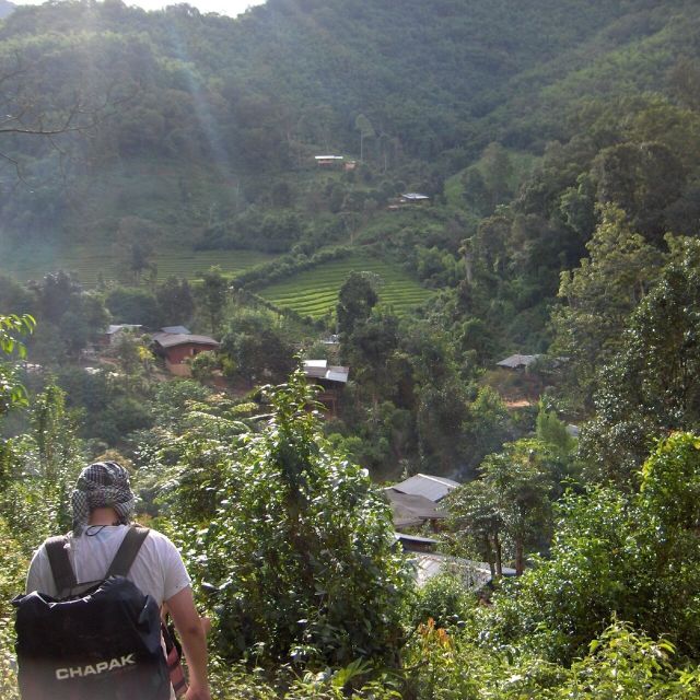 Chiang Mai: 2 Days 1 Night Experience Trek in National Park - Dinner, entertainment, and an overnight bamboo cottage that means no electricity