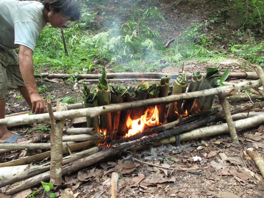 Chiang Mai: 2 Days, 1 Night Non-Tourist Trek - Why this Chiang Mai jungle trek feels different from the usual days