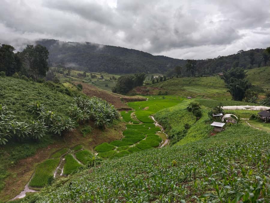 Chiang Mai: 2-Days Chiang Mai Amazing Trek - Day 2: Herbal Medicine Stops, Waterfalls, and Bamboo Rafting Finish