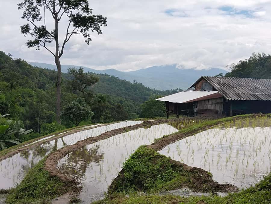 Chiang Mai: 2-Days Chiang Mai Amazing Trek - Should You Book This 2-Day Chiang Mai Eco Trek?