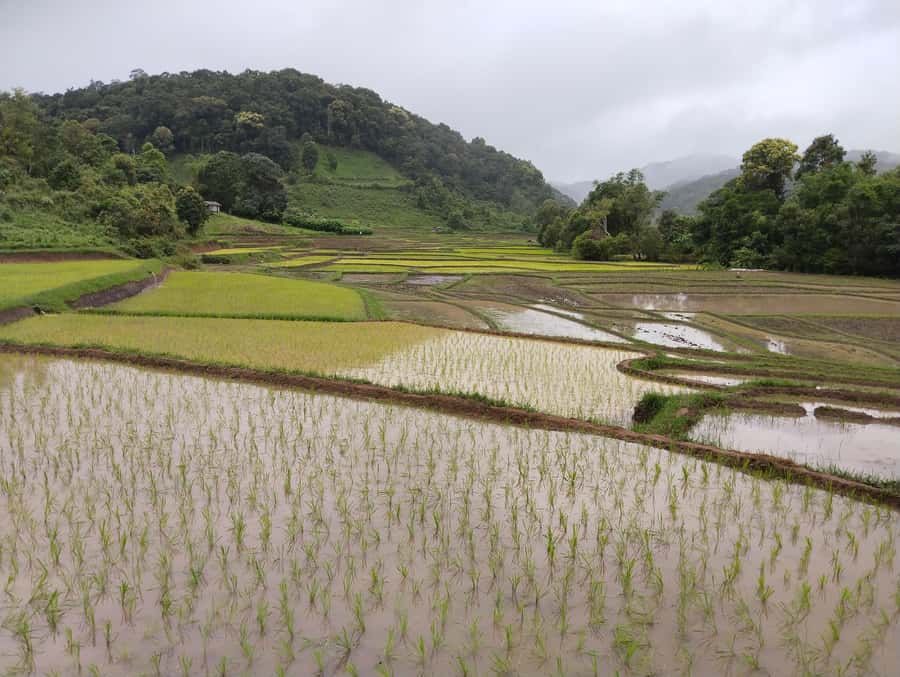Chiang Mai: 2-Days Chiang Mai Amazing Trek - FAQ