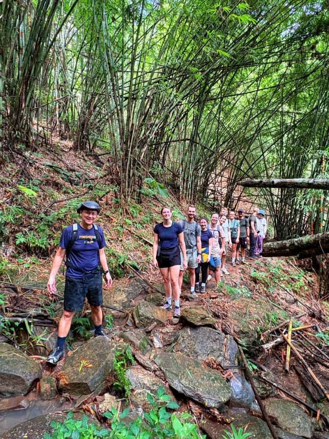Chiang Mai: 2-Days Jungle Trek, Waterfalls and Karen Village - Getting to the trail: morning pickup and the market stop