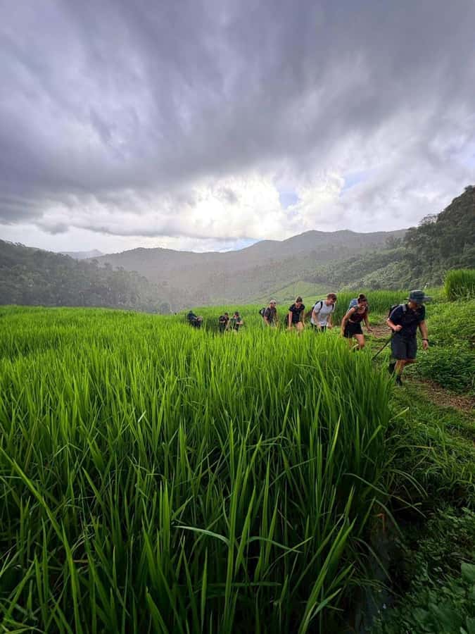 Chiang Mai: 2-Days Jungle Trek, Waterfalls and Karen Village - Waterfalls, cold nights, and a packing list that actually helps