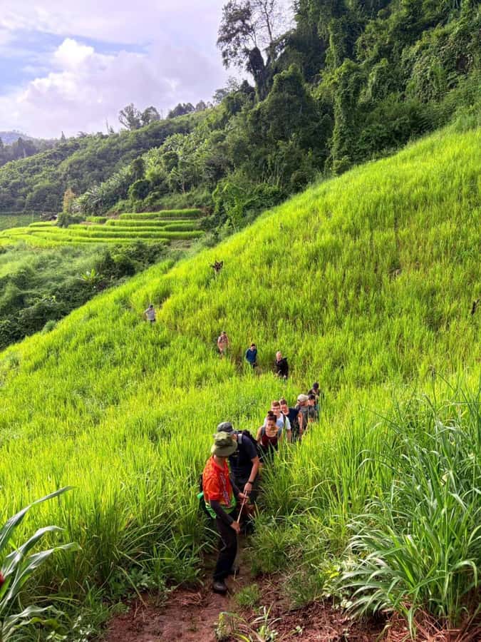 Chiang Mai: 2-Days Jungle Trek, Waterfalls and Karen Village - Who should book, and who should skip this trek