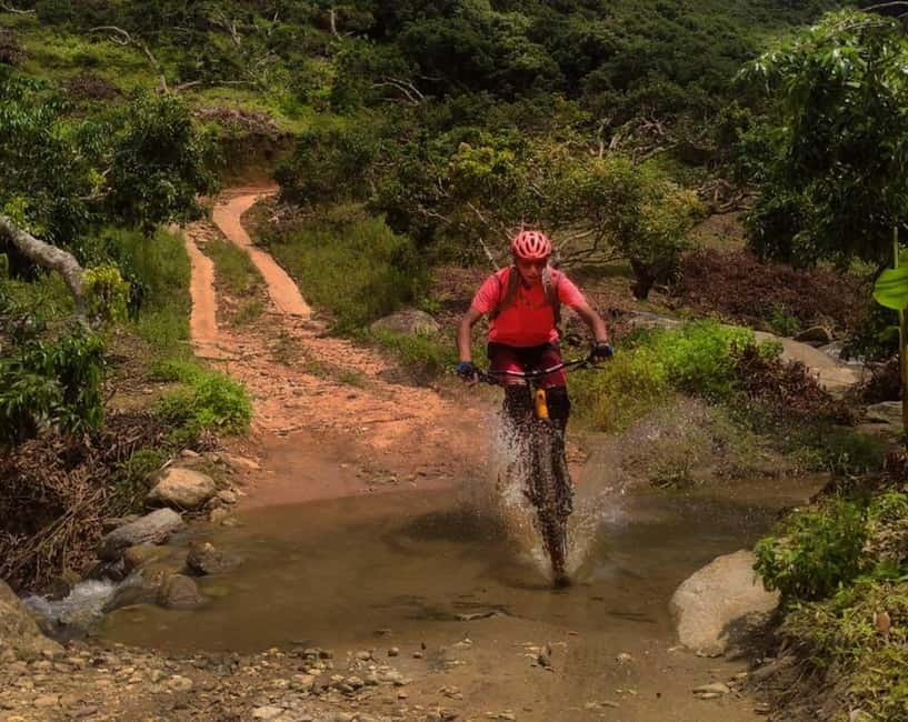 Chiang Mai: 20km Downhill Mountain Biking Challenge Suthep M - The uphill shuttle and how guides match your speed