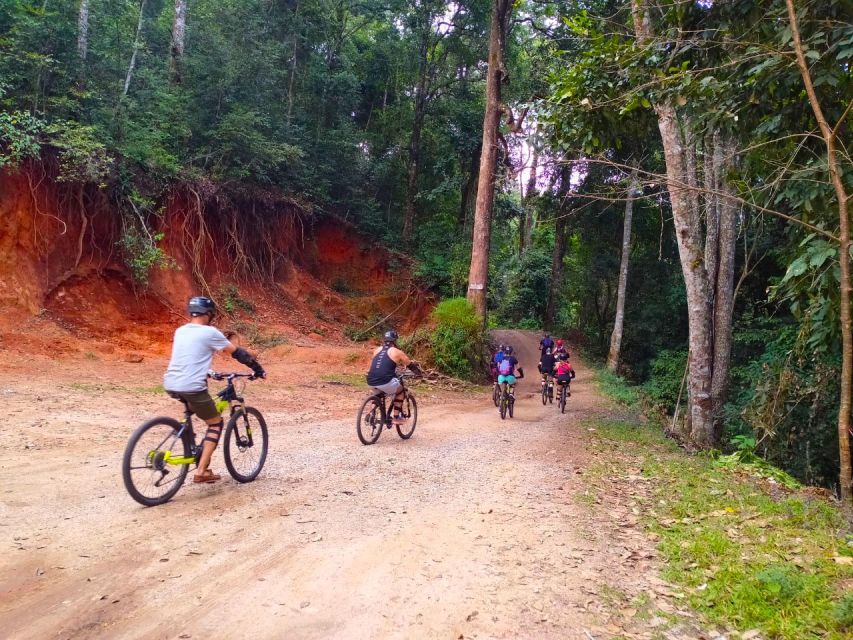 Chiang Mai: 20km Downhill Mountain Biking Challenge Suthep M - Transport and support: van, 4x4 options, and a backup truck