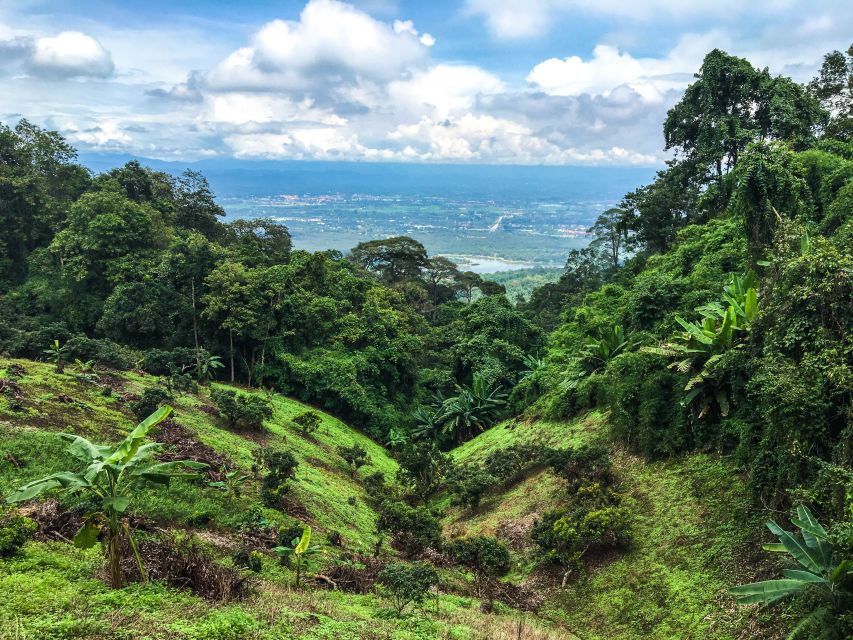 Chiang Mai: 20km Downhill Mountain Biking Challenge Suthep M - Price and value: what your $60 covers, and the one extra fee to expect