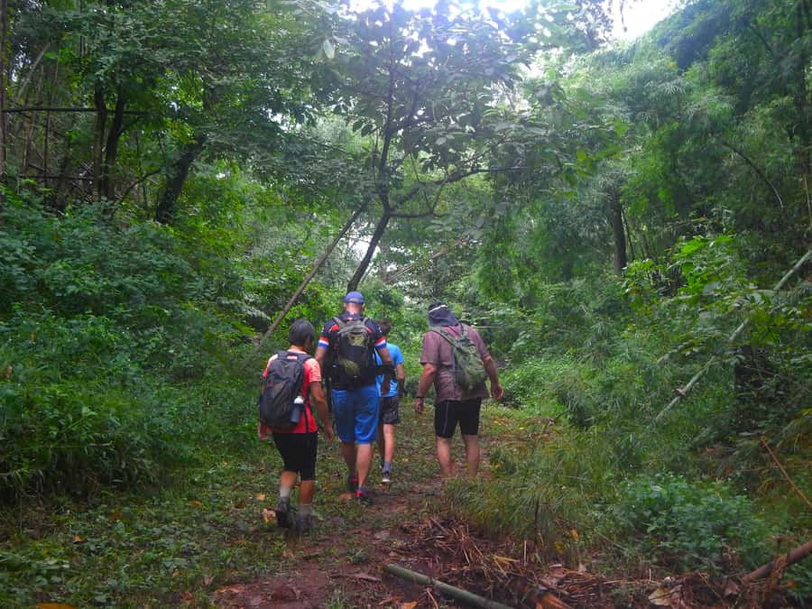Chiang Mai: 21 km DH,XC Mountain Biking from Takkatan Caves. - Temple break at Wat Nin Prapha: lunch, ancient well, and colorful artwork