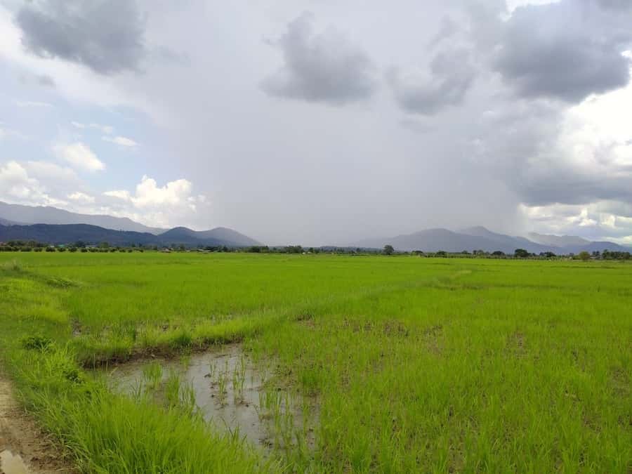 Chiang Mai: 25km Leisure Mountain Biking & Jungle Kayaking - Mae Taeng Jungle kayaking: hard-shell comfort and you choosing your pace