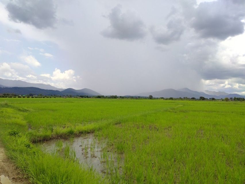 Chiang Mai: 25km Leisure Mountain Biking & Jungle Kayaking - Gear, guidance, and the small touches that make it feel smooth