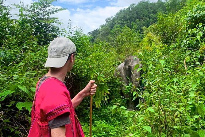 Chiang Mai 3 Activity Sunrise Suthep Temple Elephant Sanctuary - The quieter temple stop: Wat Doi Sapphanyu (Wat Nam Bo Tib) details that reward attention