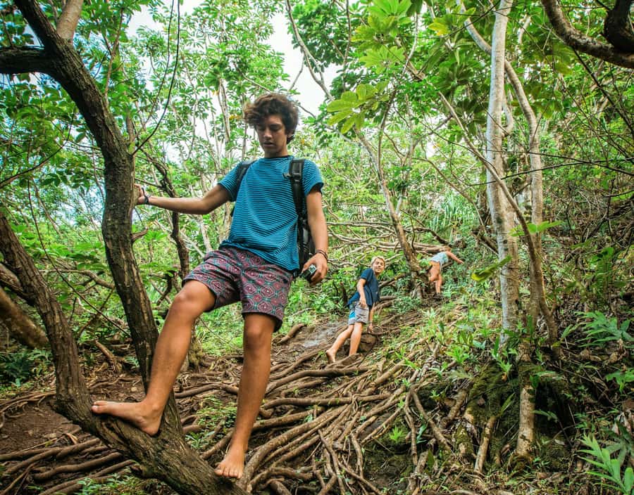 Chiang Mai: 3-Day Karen Hill Tribe Immersion with Trekking - Key Points Worth Knowing Before You Go
