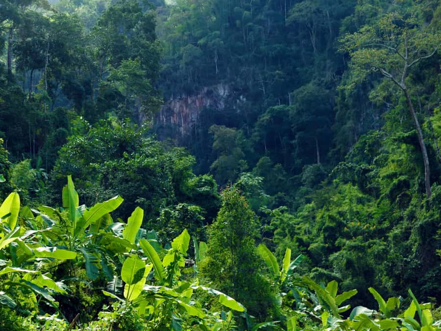 Chiang Mai: 3-Day Karen Hill Tribe Immersion with Trekking - Trekking Fitness and Packing: Make It Easy on Yourself