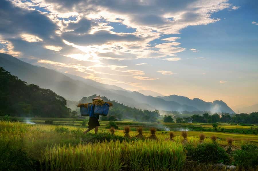 Chiang Mai: 3-Day Karen Hill Tribe Immersion with Trekking - Why This Chiang Mai Trek Feels Different on Karen Land