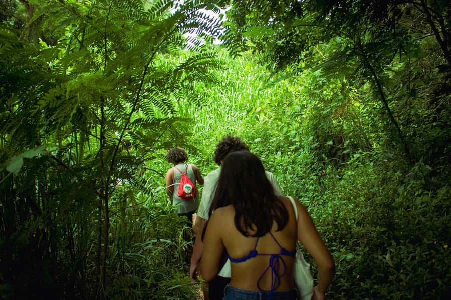 Chiang Mai: 3-Day Karen Hill Tribe Immersion with Trekking - Day 1: Forest Paths, Banana-Leaf Lunch, and Firelight Camping