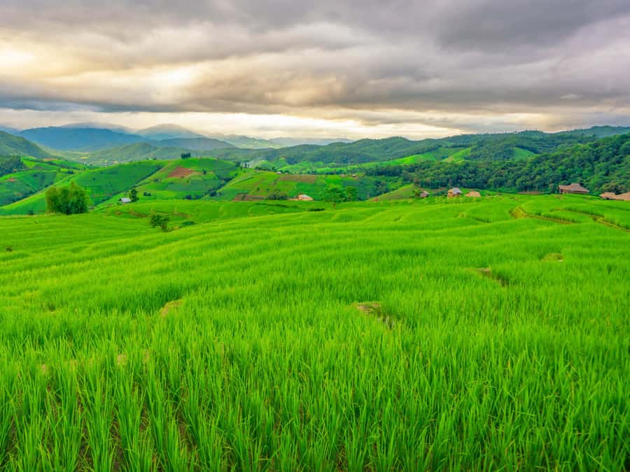 Chiang Mai: 3-Day Karen Hill Tribe Immersion with Trekking - Day 2: Wildlife Forest, Village Culture, and a Second Night With Your Hosts