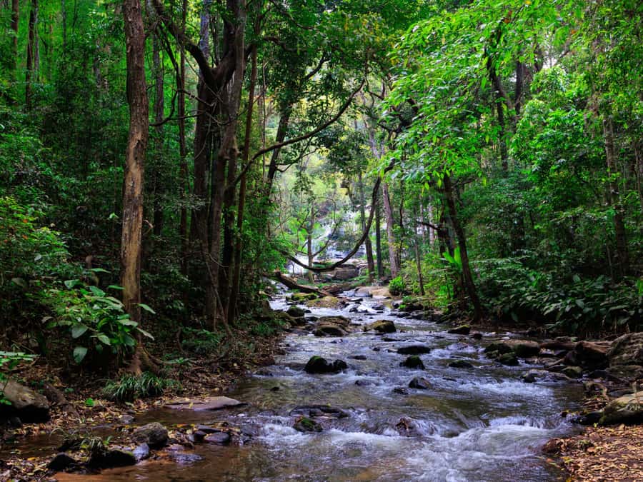Chiang Mai: 3-Day Karen Hill Tribe Immersion with Trekking - Food on Trail: Simple Meals That Actually Fuel the Hike
