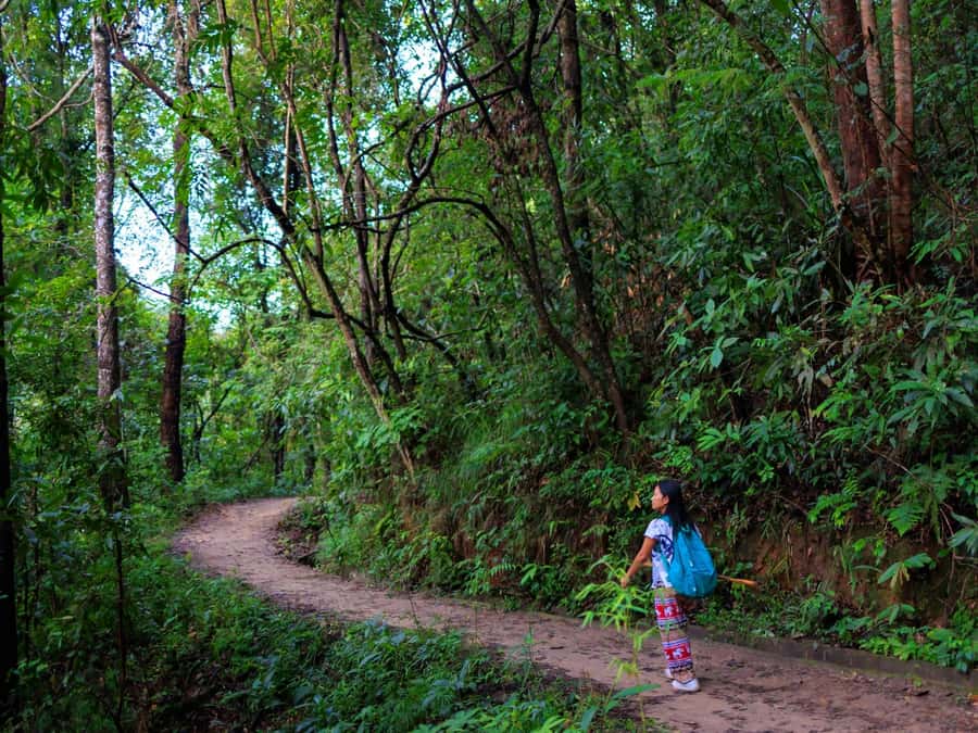 Chiang Mai: 3-Day Karen Hill Tribe Immersion with Trekking - What the Cultural Part Looks Like in Real Time