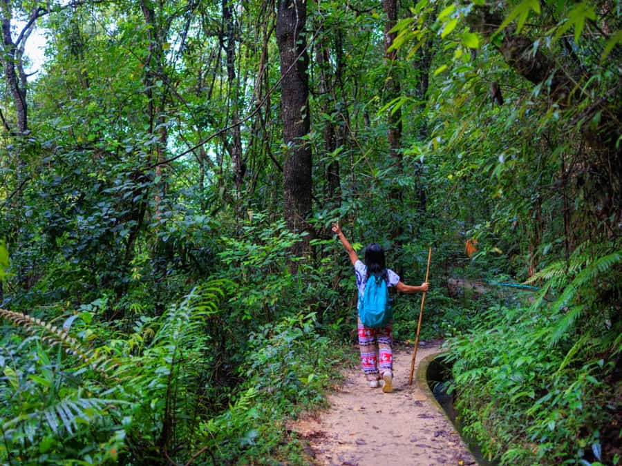 Chiang Mai: 3-Day Karen Hill Tribe Immersion with Trekking - Price and Value: What You Really Get for $158