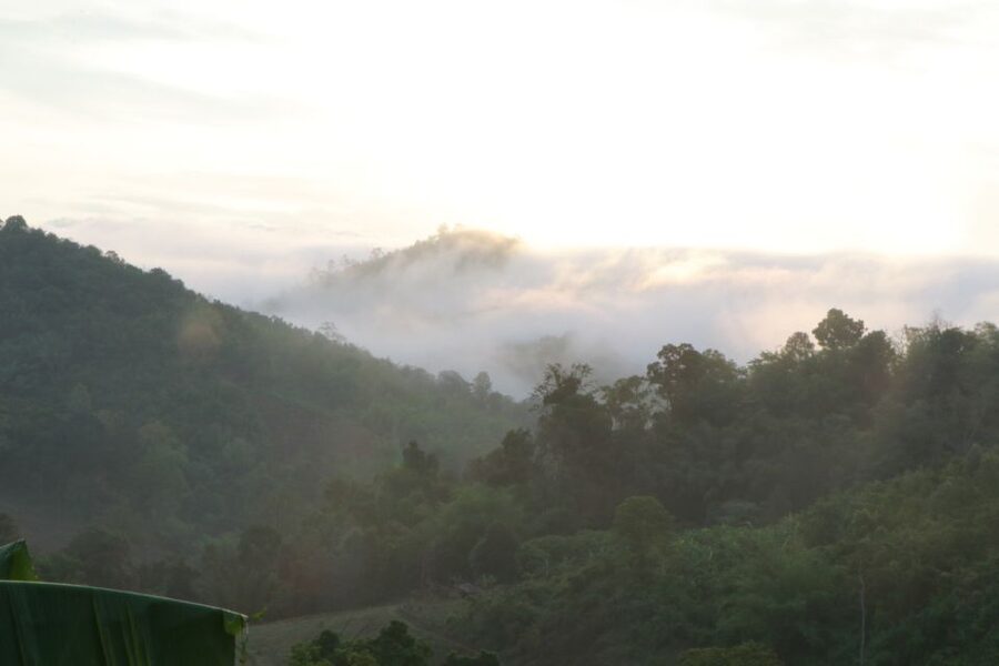Chiang Mai: 3 Days 2 Nights Experience Trek Mae Taeng Area - Logistics That Matter: Pickup Timing and How the Day Can Flex