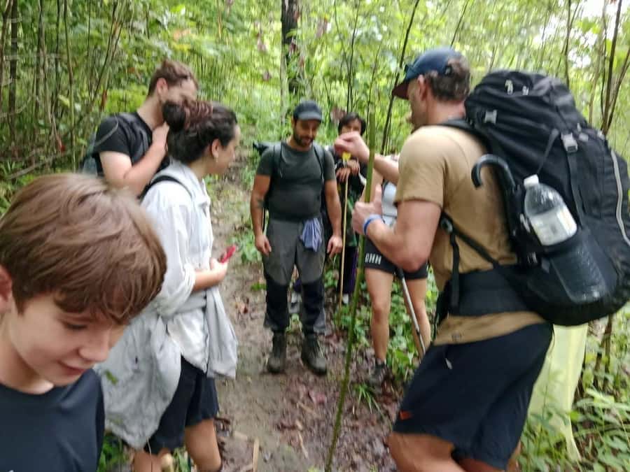 Chiang Mai: 3Days Nature&Cultural Trek in Doi Inthanon Area - Should You Book This Doi Inthanon Karen Forest Trek?
