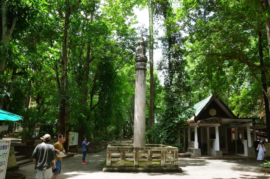 Chiang Mai: 4-hour Doi Suthep, Wat Umong, & Wat Phalat Tour - Doi Suthep at the top: 306 naga steps or a cable car