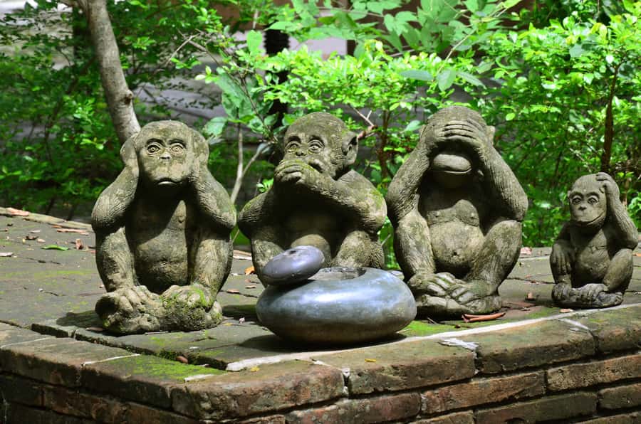 Chiang Mai: 4-hour Doi Suthep, Wat Umong, & Wat Phalat Tour - What to wear, bring, and avoid at the temples