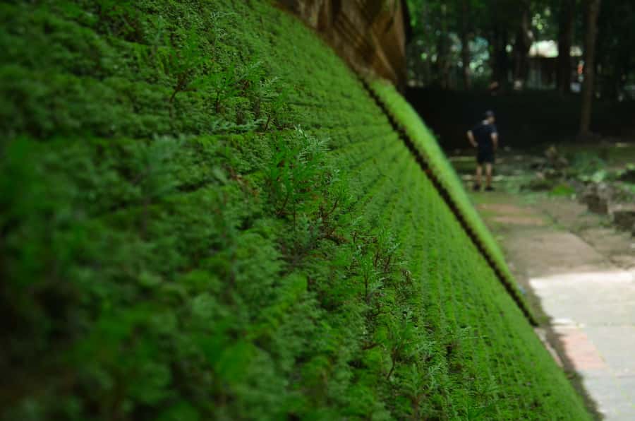 Chiang Mai: 4-hour Doi Suthep, Wat Umong, & Wat Phalat Tour - Wat Umong tunnels: calm, eerie, and quietly special